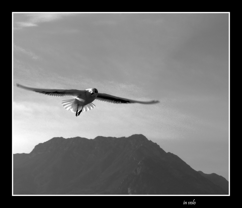 in-volo-2.jpg