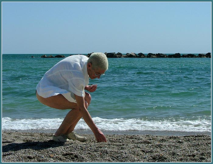 In Cerca Di Conchiglie.jpg