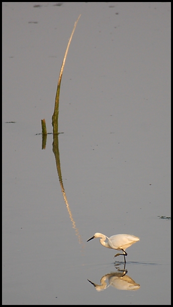 in punta.jpg