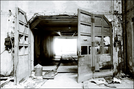 In Rigenerazione - The Door - per Aluccia.jpg