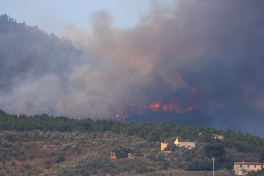 incendio8.jpg