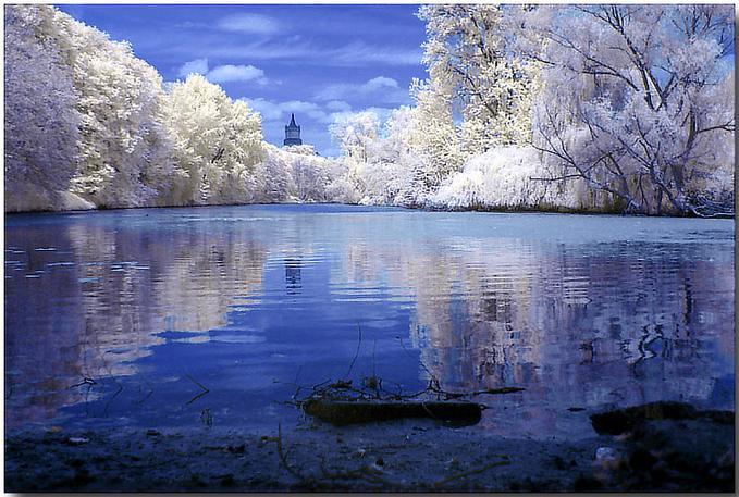 infrared.jpg