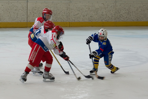 ingrandimento-baby-hokey-II.jpg