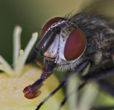 inspira ed aspira_crop.jpg