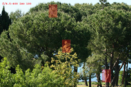 Intera_70mmf4.jpg