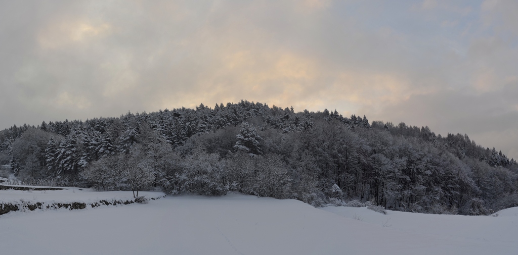 inverno1_stitchresize.jpg