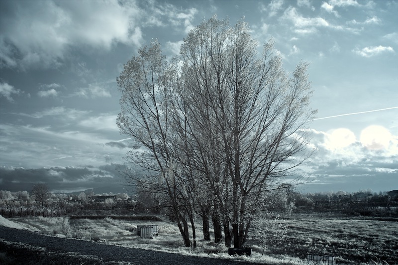ir-117 3.jpg