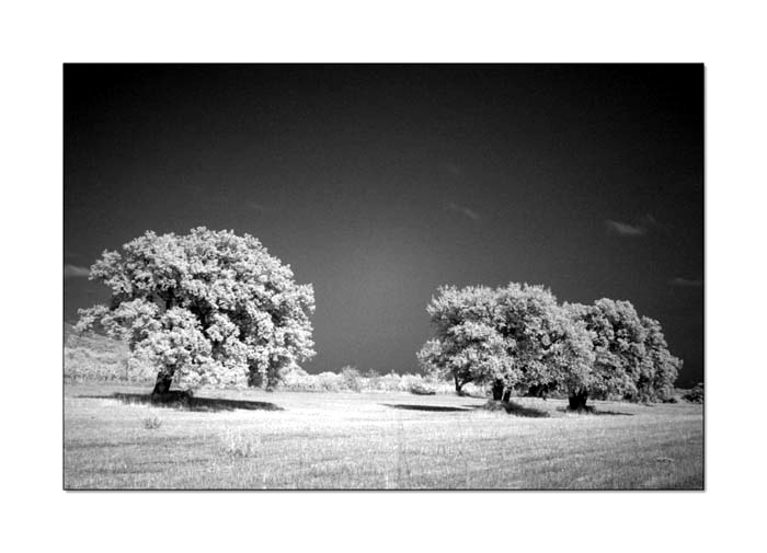 Ir-Test-No4.jpg