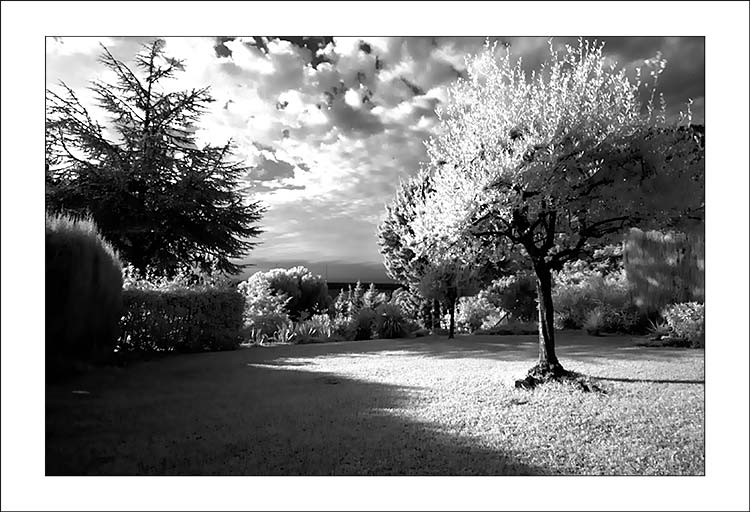 ir_02.jpg