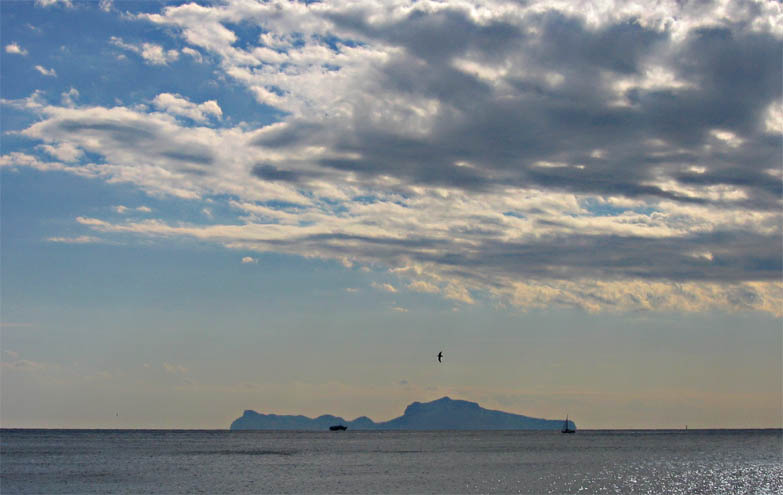 ischia da castel dell'ovo.jpg