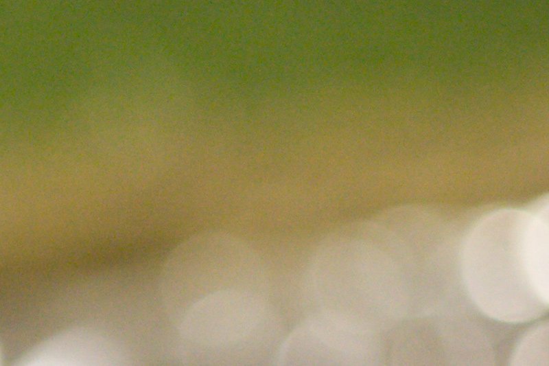 ISO1600_Crop2.jpg