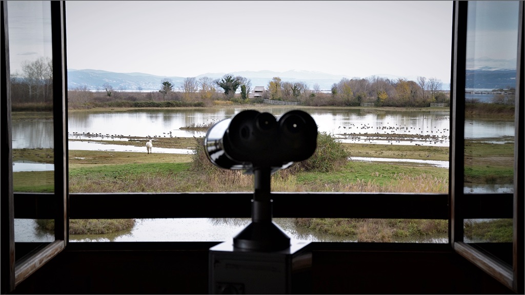 Isola della Cona x.JPG