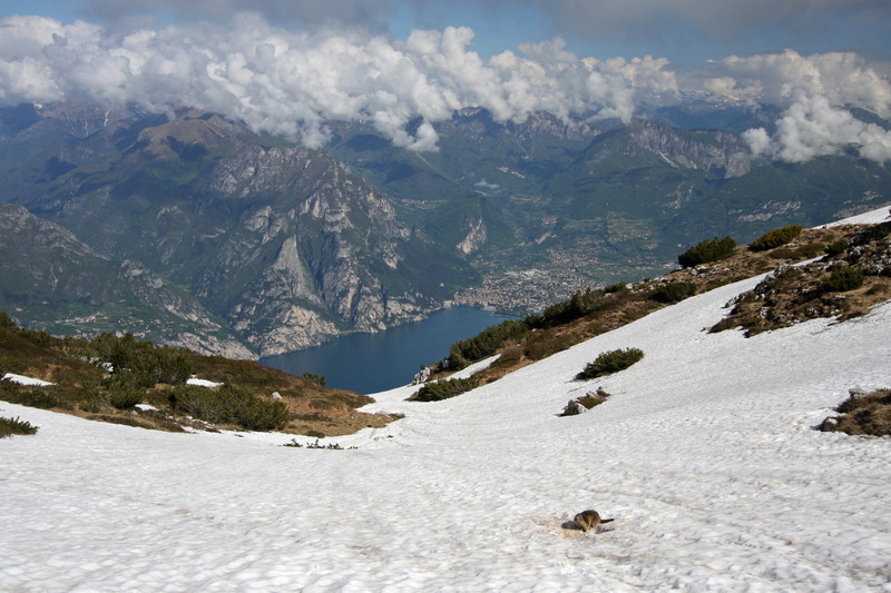 Ivo_2662+.jpg