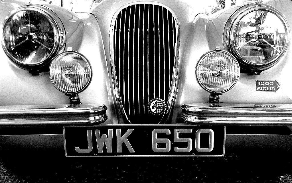 jaguar_no-blur.jpg