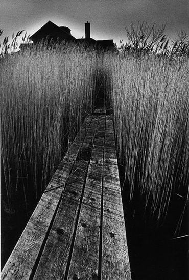 jeanloup SIEFF.JPG