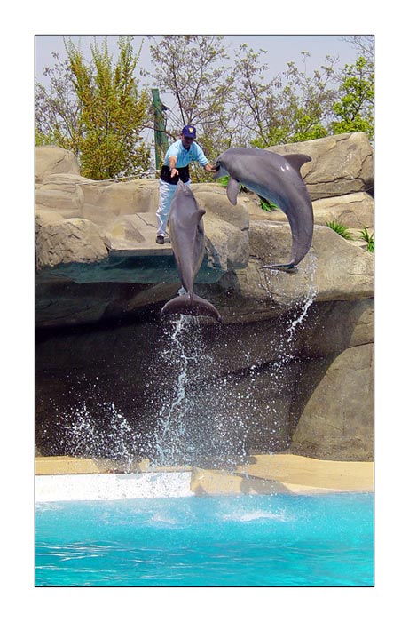 jump.jpg