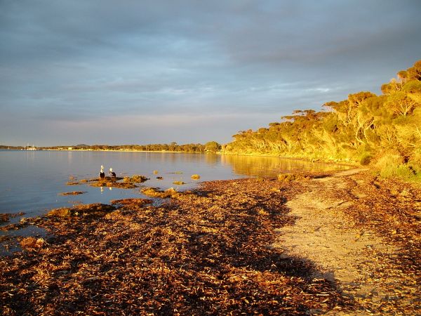 Kangaroo Island.JPG
