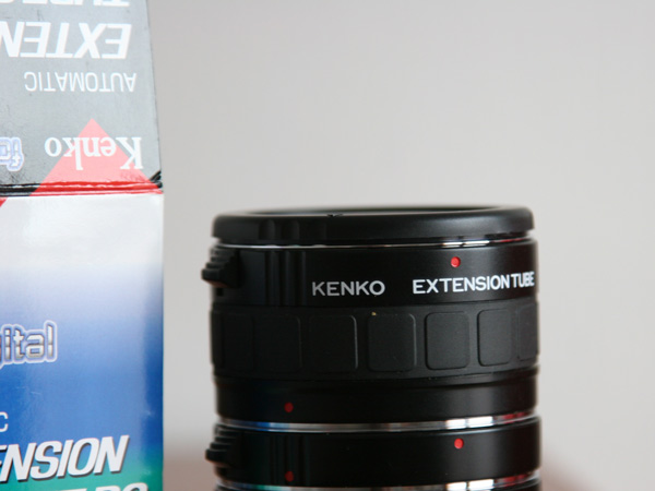kenko.jpg
