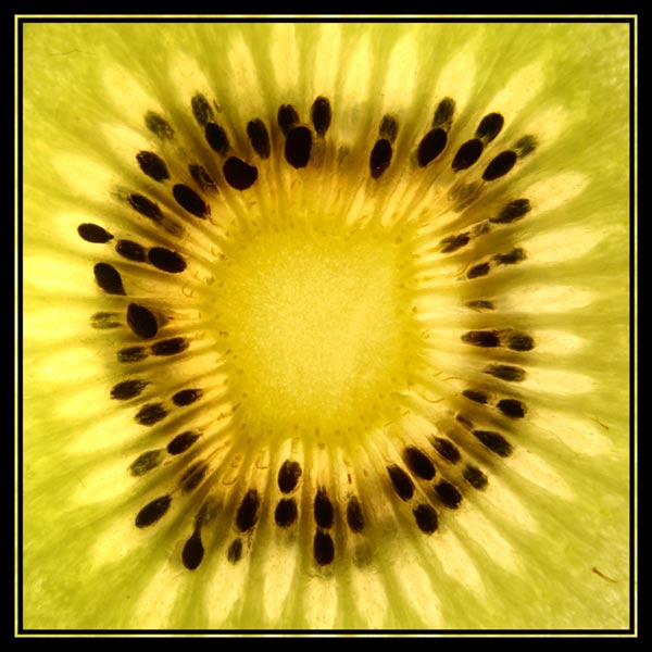 kiwi-macro_p4.jpg