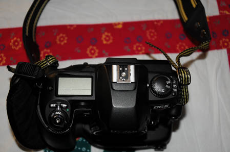 kodak2.jpg