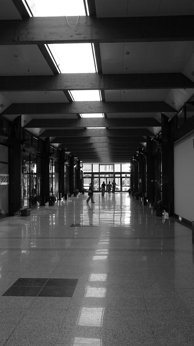 L1000060.jpg