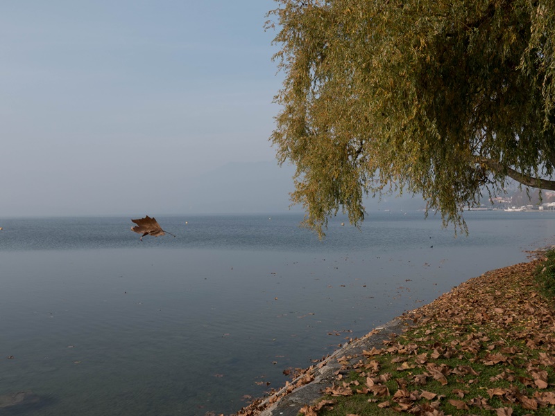 L1000146.jpg