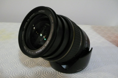 L1020524.JPG