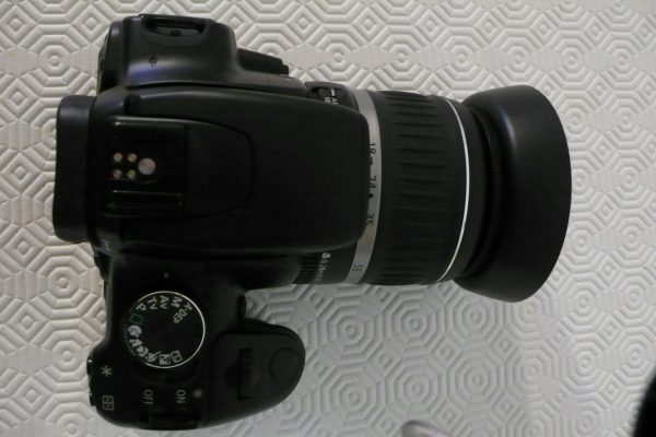 L1020547.JPG