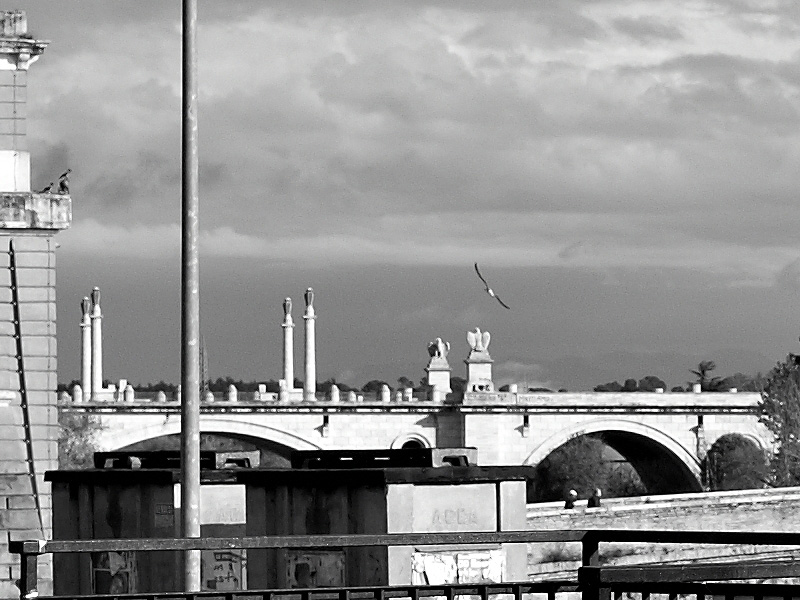 L1030369_crop.jpg