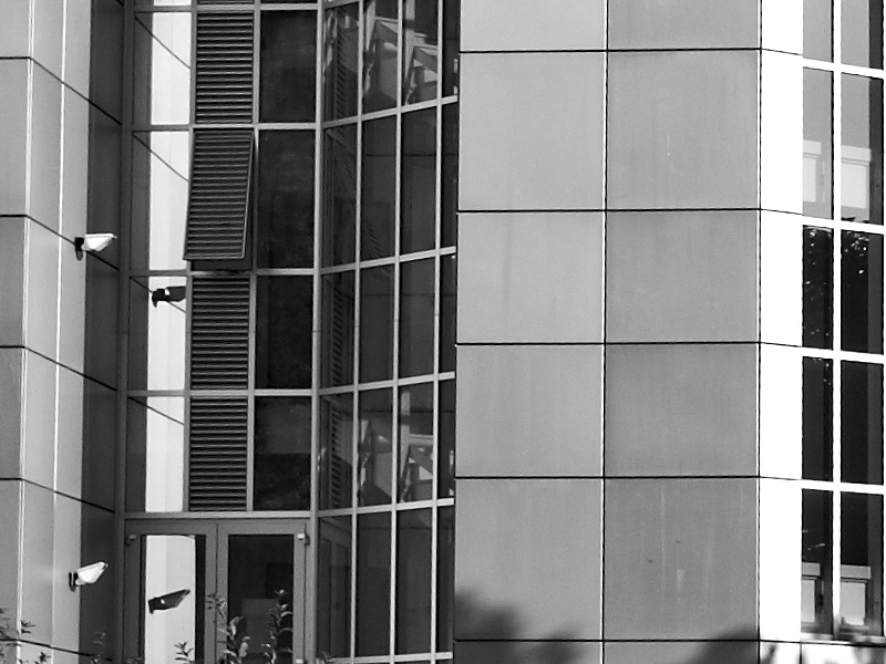 L1030379_crop.jpg
