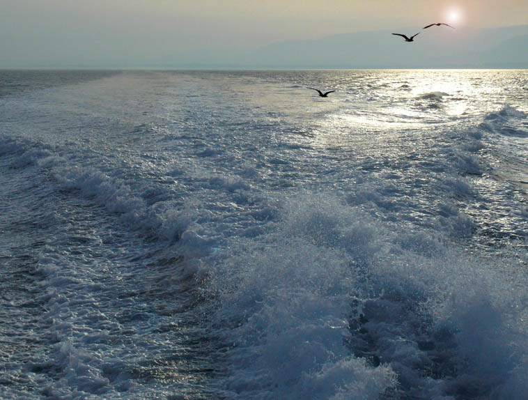 L1050024ed_edited-2.jpg