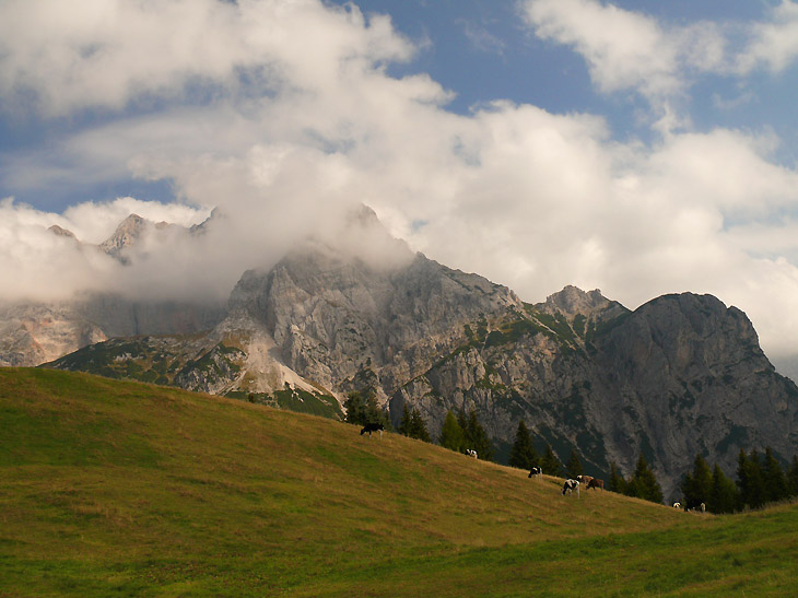 L1080798ed.jpg