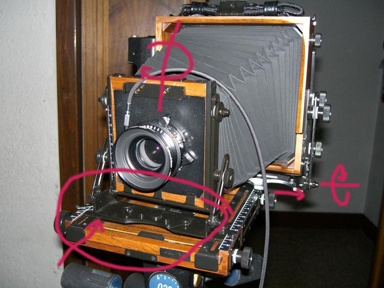 l11.jpg