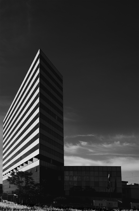 L.jpg