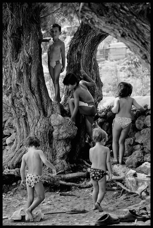 L'abero dei bambini.jpg