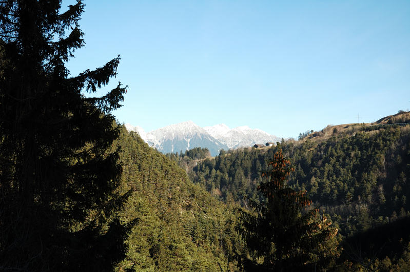 L'albero e le Montagne Colori.jpg