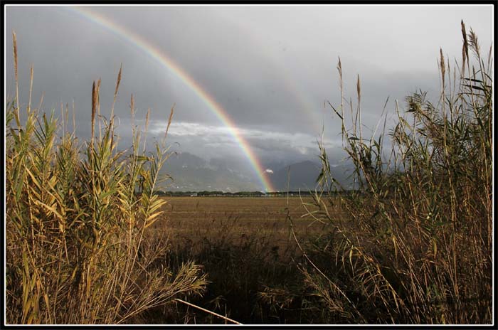 L'arcobaleno2.jpg