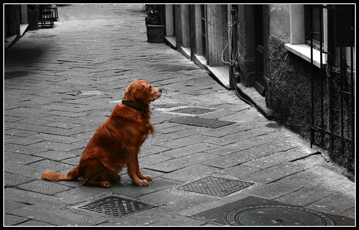 L'attesa.jpg