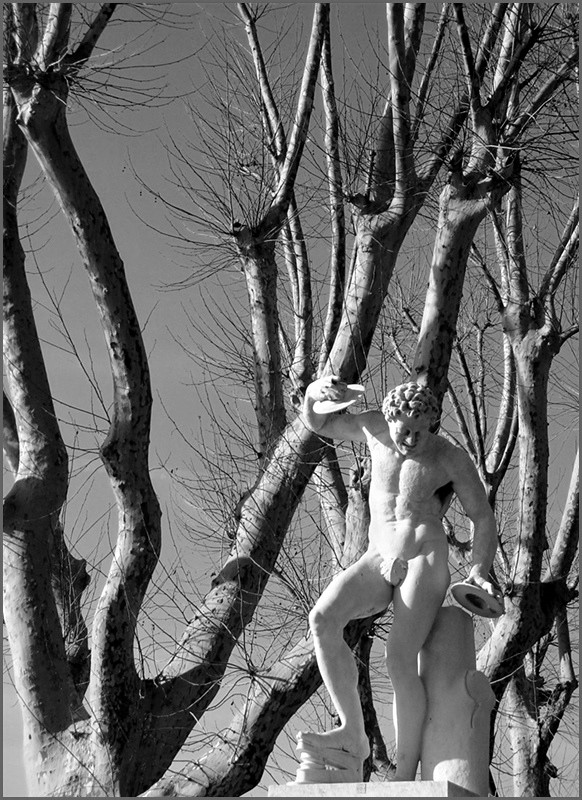 L'ultima foglia 800.jpg bn.jpg