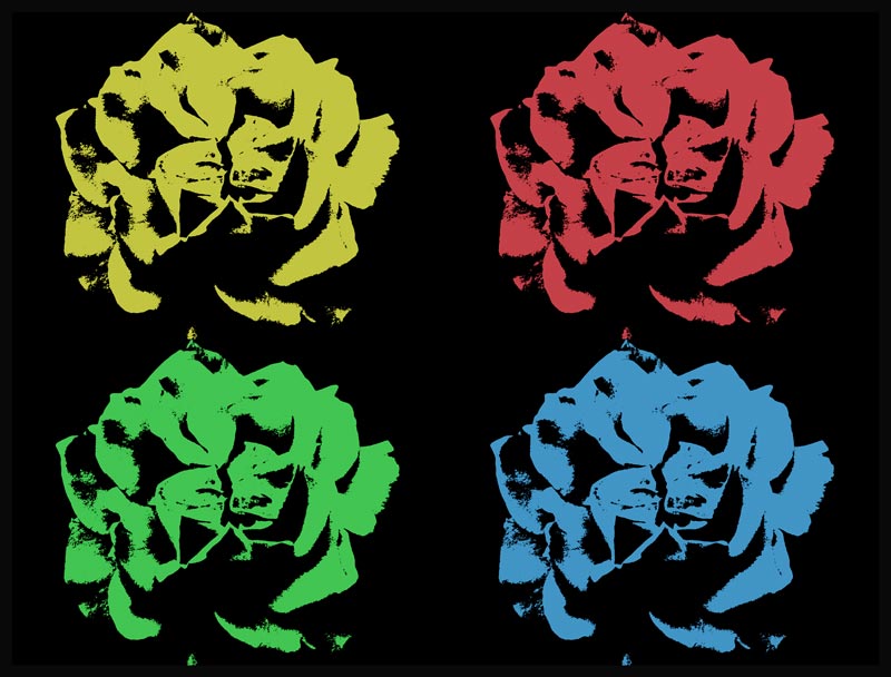 la-rosa2.jpg