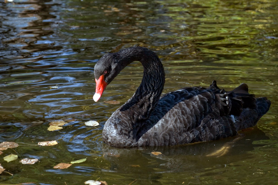 La-vita-del-Parco-(2).jpg