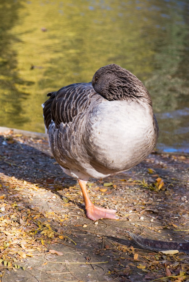 La-vita-del-Parco-(5).jpg