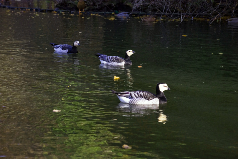 La-vita-del-Parco-(6).jpg