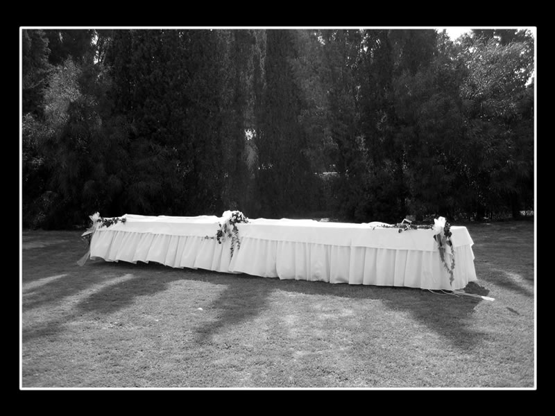 La Festa  finita.jpg