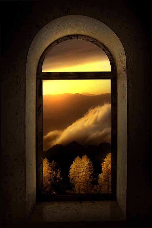 la finestra sul bosco.jpg
