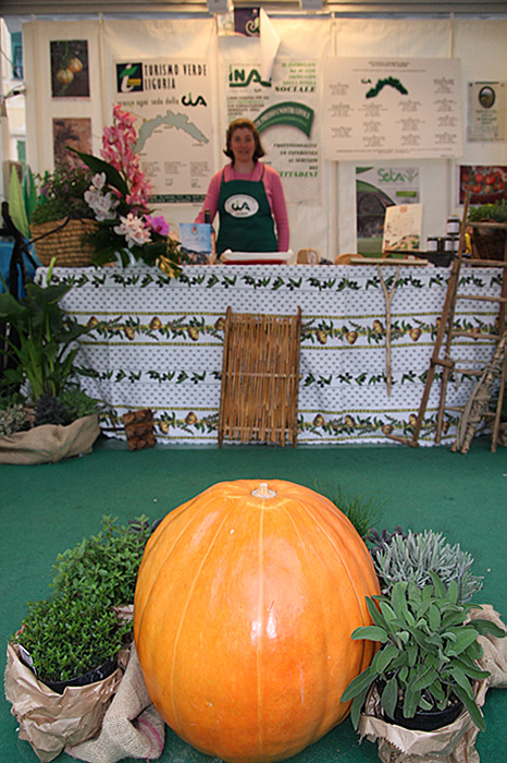 la grande zucca.jpg