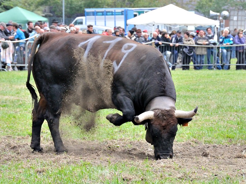 la guerriera.JPG