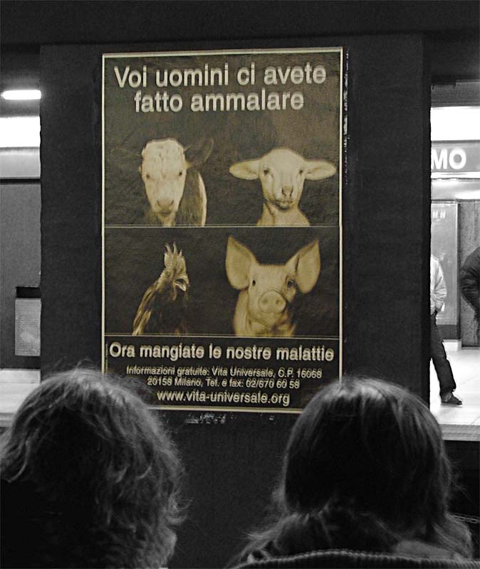 la rivincita.jpg