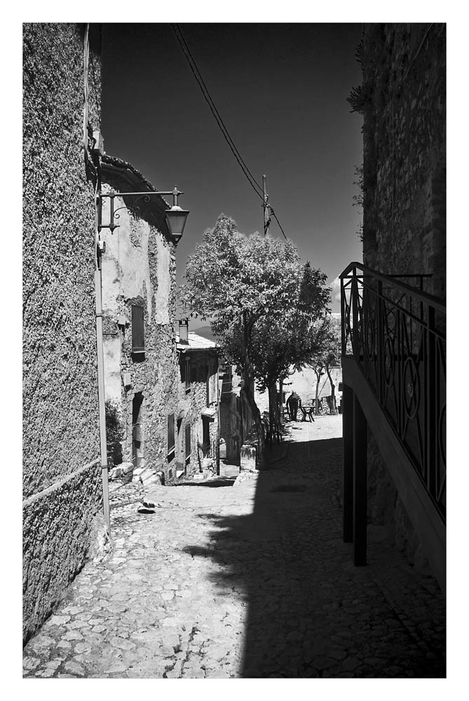 la signora small.jpg