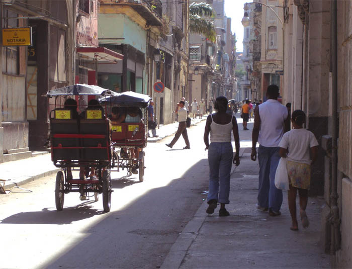 la strada e i risci.jpg